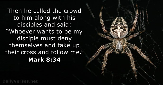 mark 8:34