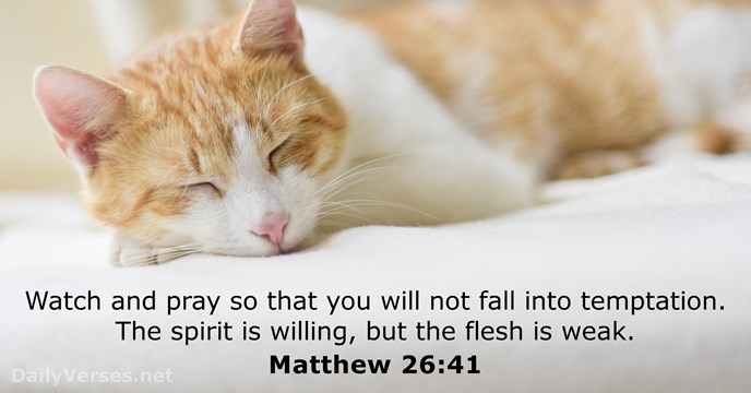 matthew 26:41