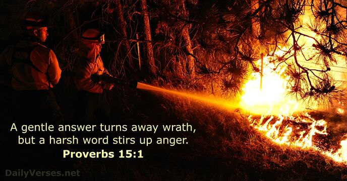 Proverbs 15:1 - Bible verse of the day - DailyVerses.net