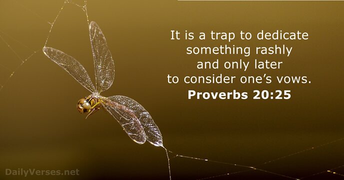 proverbs 20:25