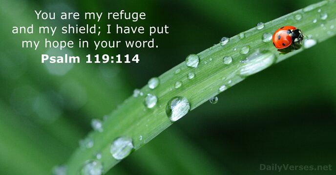 psalms 119:114