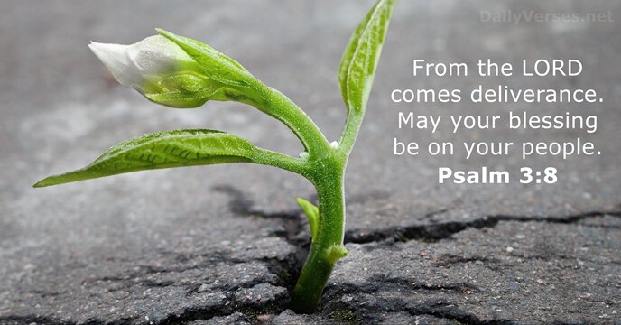 psalms 3:8