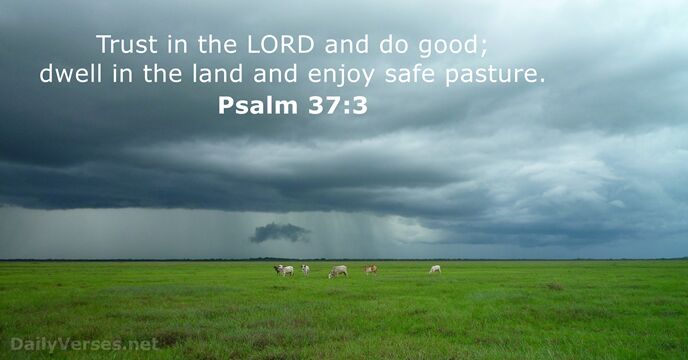 Psalms 37:3