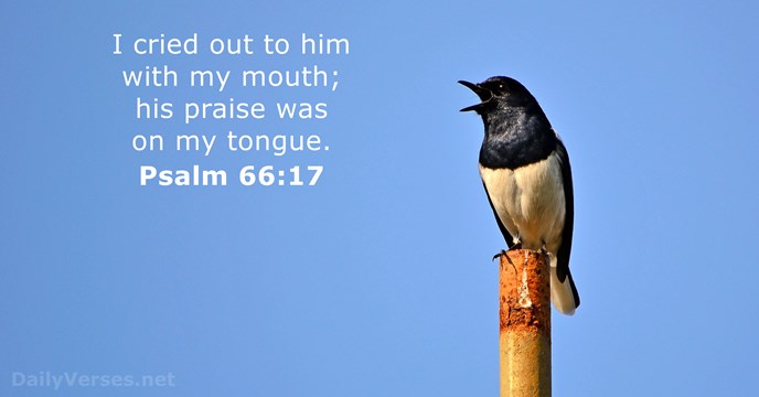 Psalms 66:17