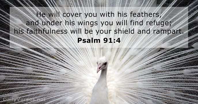psalms 91:4