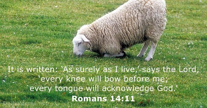 Romans 14:11