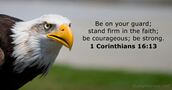 1-corinthians 16:13