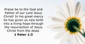 1-peter 1:3