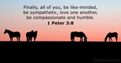 1-peter 3:8