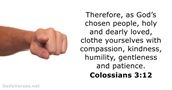 colossians 3:12