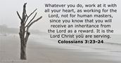colossians 3:23-24