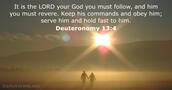 deuteronomy 13:4