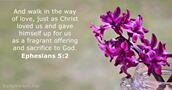 ephesians 5:2