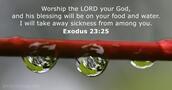 exodus 23:25