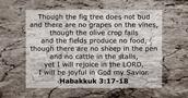 habakkuk 3:17-18