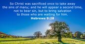 hebrews 9:28