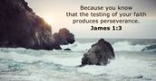 james 1:3