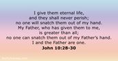john 10:28-30
