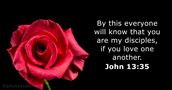john 13:35