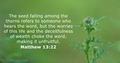 matthew 13:22