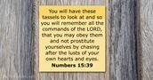 numbers 15:39