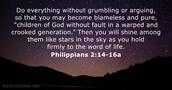 philippians 2:14-16a