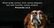 proverbs 11:2