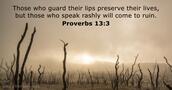 proverbs 13:3