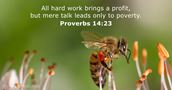 proverbs 14:23