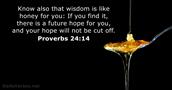 proverbs 24:14
