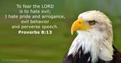 proverbs 8:13