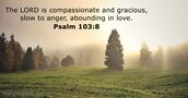psalms 103:8
