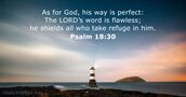 psalms 18:30