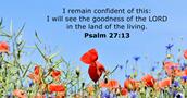 psalms 27:13