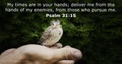 psalms 31:15