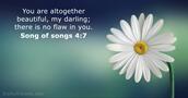 song-of-songs 4:7