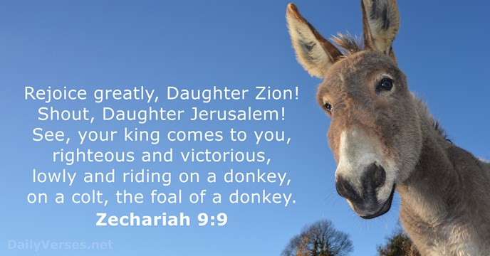 Zechariah 9:9