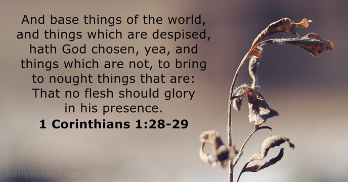 1 Corinthians 1:28-29
