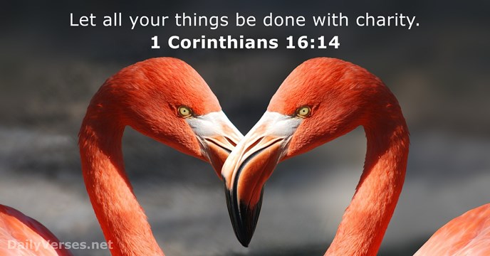 1 Corinthians 16:14