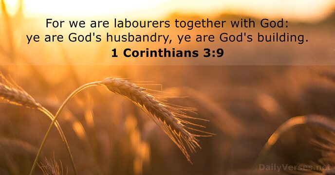 For we are labourers together with God: ye are God's husbandry, ye… 1 Corinthians 3:9