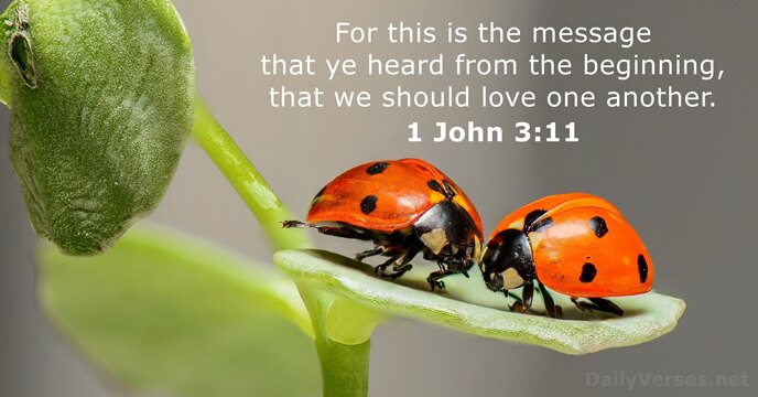 For this is the message that ye heard from the beginning, that… 1 John 3:11