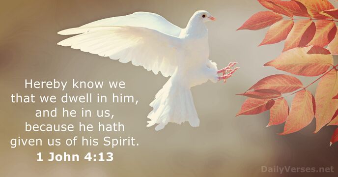 Hereby know we that we dwell in him, and he in us… 1 John 4:13