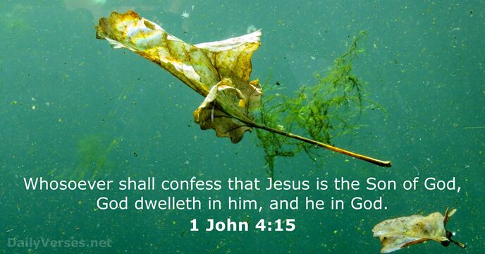 Whosoever shall confess that Jesus is the Son of God, God dwelleth… 1 John 4:15