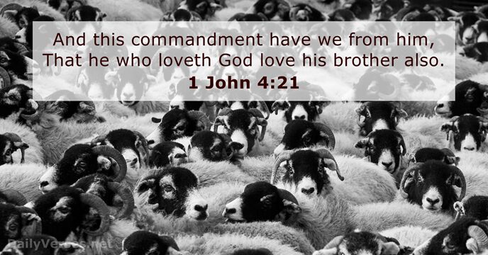 1 John 4:21