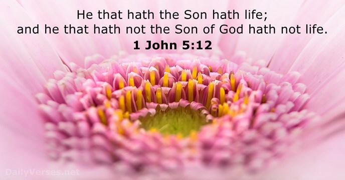 He that hath the Son hath life; and he that hath not… 1 John 5:12
