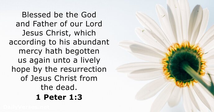Blessed be the God and Father of our Lord Jesus Christ, which… 1 Peter 1:3