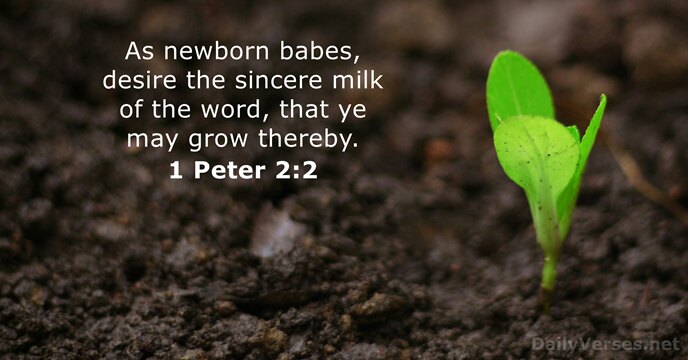 As newborn babes, desire the sincere milk of the word, that ye… 1 Peter 2:2