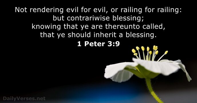 Not rendering evil for evil, or railing for railing: but contrariwise blessing… 1 Peter 3:9