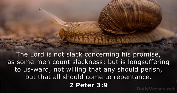 The Lord is not slack concerning his promise, as some men count… 2 Peter 3:9