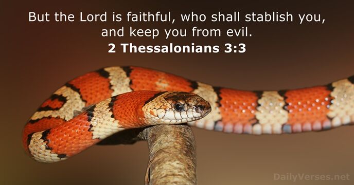 But the Lord is faithful, who shall stablish you, and keep you from evil. 2 Thessalonians 3:3